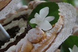 approdo-torta-sainthonore